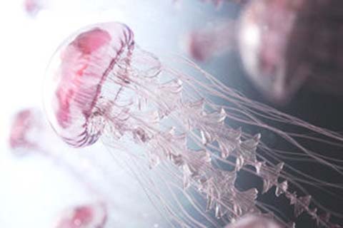 http://hangzhou.vdtfzz.com/post/208.html|杭州人工试管