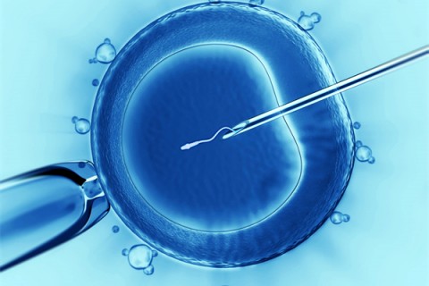 http://hangzhou.vdtfzz.com/post/198.html|杭州代生助孕