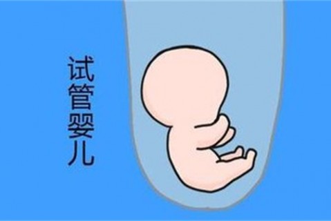 http://hangzhou.vdtfzz.com/post/194.html|杭州新闻中心