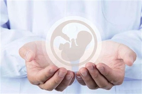 http://hangzhou.vdtfzz.com/post/214.html|杭州人工试管
