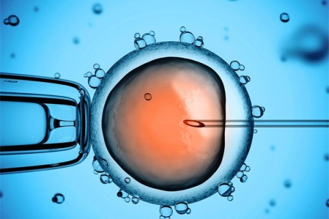 http://hangzhou.vdtfzz.com/post/206.html|杭州新闻中心